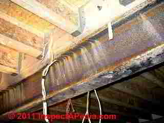 Wood I Joist in preparation for use in floor or roofing (C) Daniel Friedman